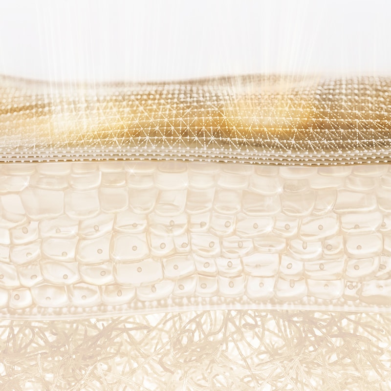 <p style="text-align: center;font-size:25px;line-height:28px;"><strong>STRATUM CORNEUM</strong></p>
<p style="text-align: center;font-size:18px;line-height:28px">Etkili içerikleri sayesinde cilt bariyerini güçlendirir, cildin doğal seramidlerini artırır ve lipid peroksidasyonunu önlemeye yardımcı olur.
</p>
